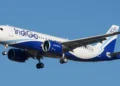 Indigo flight bird strike Bengaluru